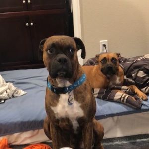 Meet your Posher, Alexandra